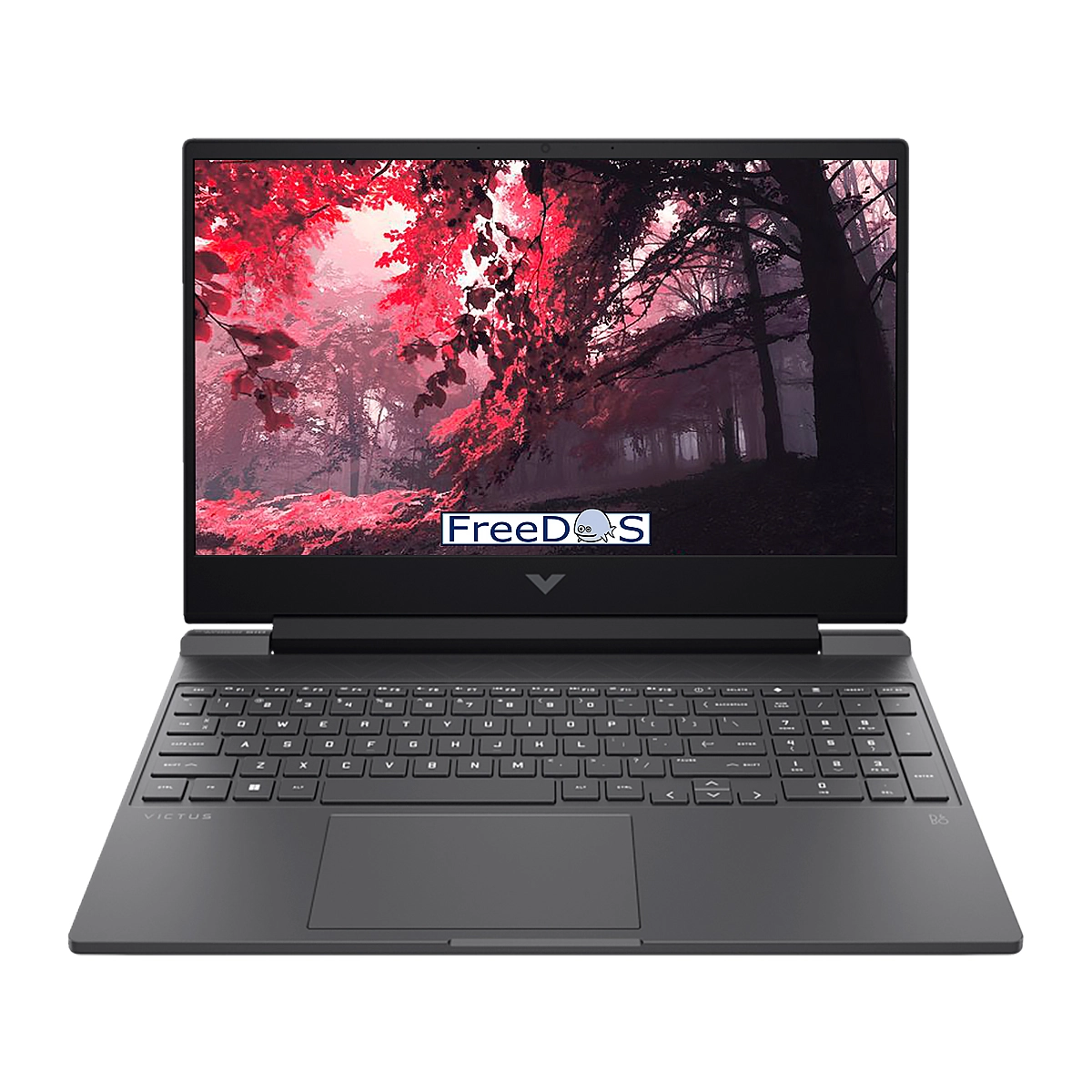 Notebook Hp Victus 15-fb2020la Ryzen 7 8845hs 16gb 1tb 15.6inch Rtx4050-6gb Hdmi Dp Freedos Black