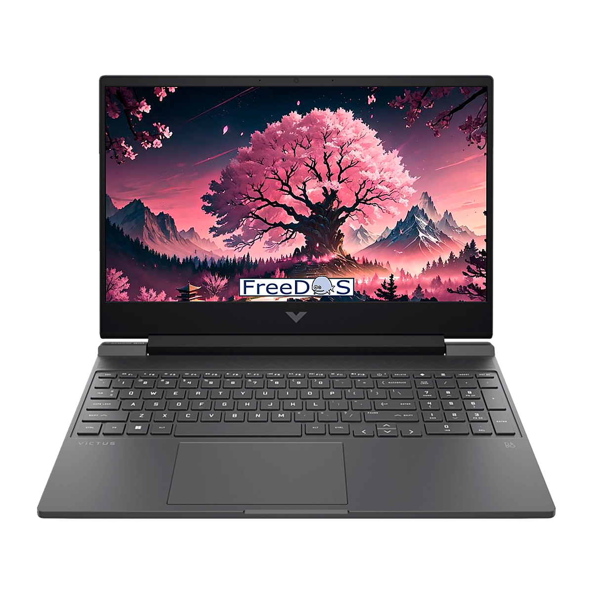 Notebook Hp Victus 15-fb2025la Ryzen 5 8645hs 16gb 512gb 15.6inch Rtx2050-4gb Hdmi Dp Freedos Black