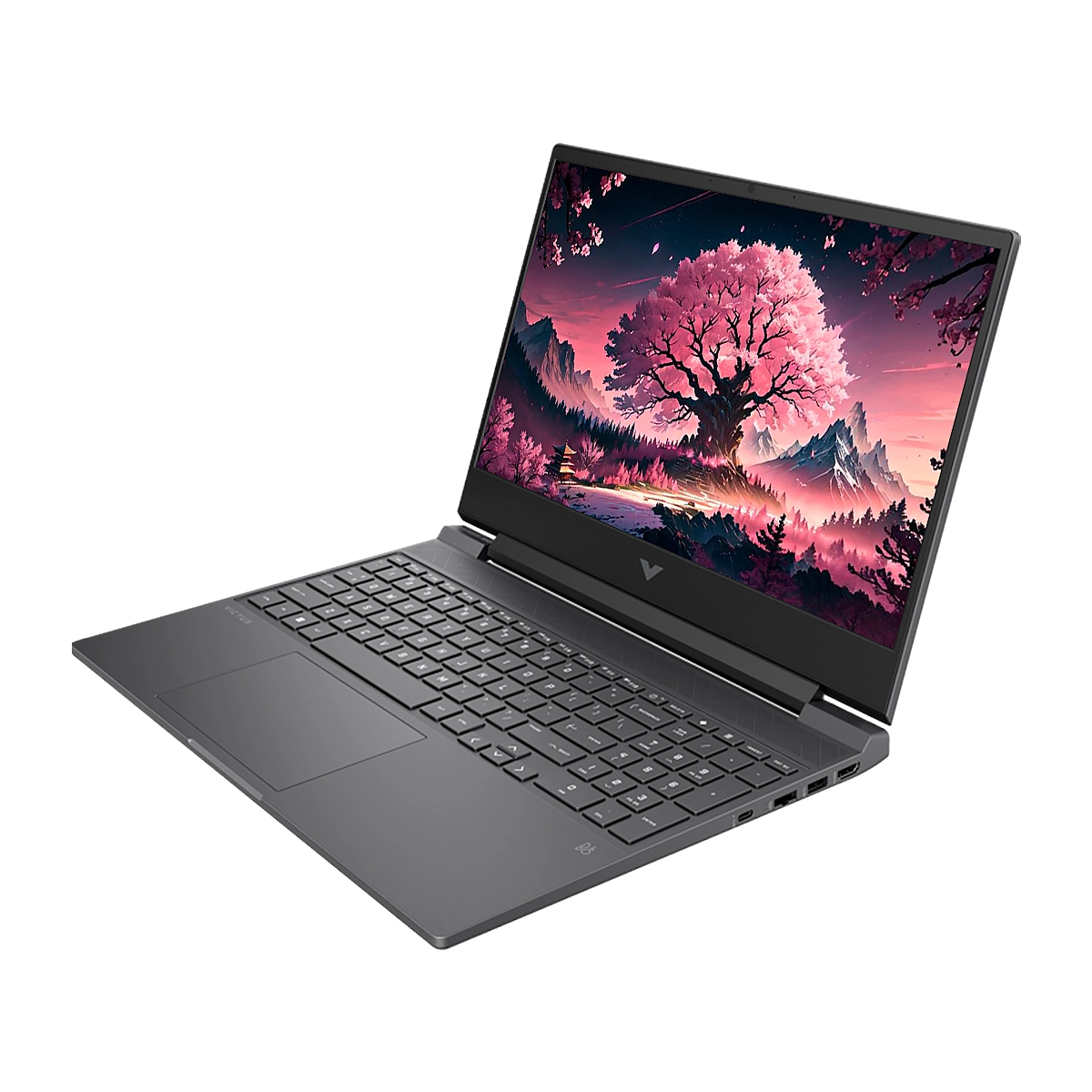 Notebook Hp Victus 15-fb2025la Ryzen 5 8645hs 16gb 512gb 15.6inch Rtx2050-4gb Hdmi Dp Freedos Black - Imagen 3